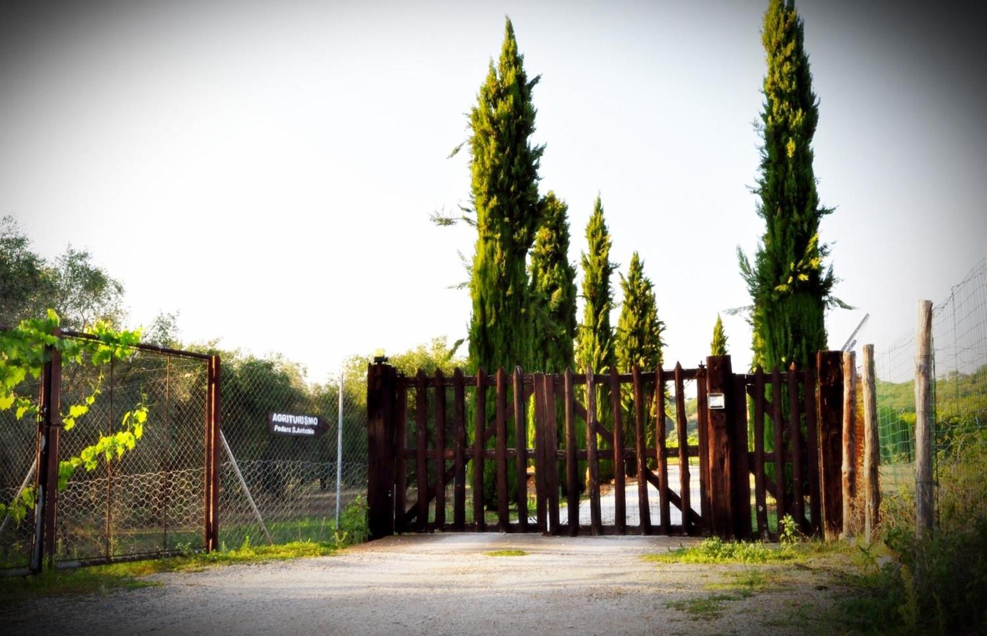 בית הארחה אלברזה 	Agriturismo Podere Sant' Antonio מראה חיצוני תמונה