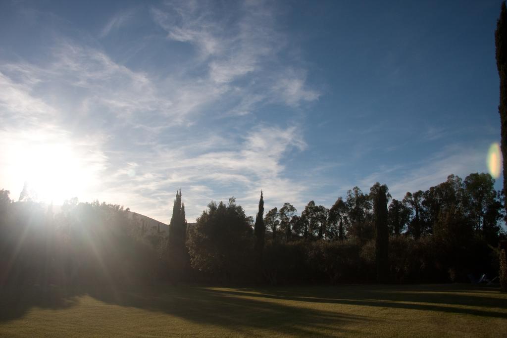 בית הארחה אלברזה 	Agriturismo Podere Sant' Antonio מראה חיצוני תמונה