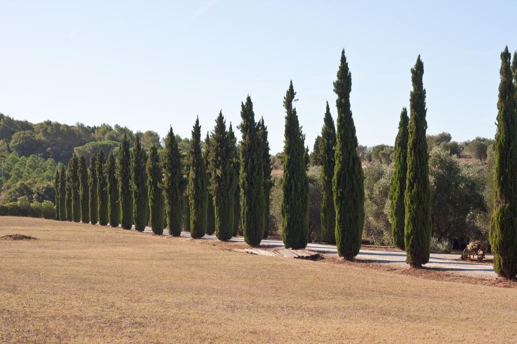 בית הארחה אלברזה 	Agriturismo Podere Sant' Antonio מראה חיצוני תמונה